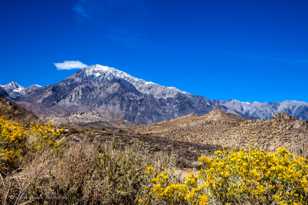 Mt. Tom-9395 Mt. Tom-9395